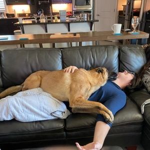 Meet your Posher, Dylan-esther